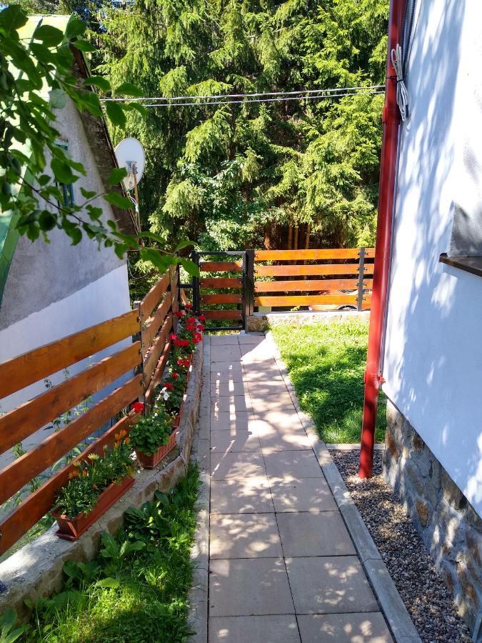 New And Comfortable Two Bedroom House Gărâna Eksteriør billede